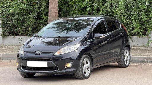Fiesta VI